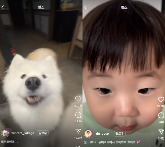 어제 본 릴스, 오늘은 패러디한 릴스로 재탄생?! 릴스의 변화는 끝이 없다 [최신 유행 릴스, 릴스 패러디] | 고구마팜