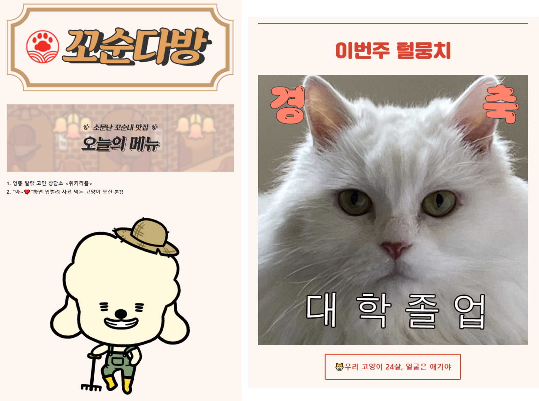 뉴스레터가 광고 채널로 뜨는 이유? 마케터라면 이건 알아야 해요! | 고구마팜