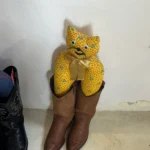 짱주 아바타